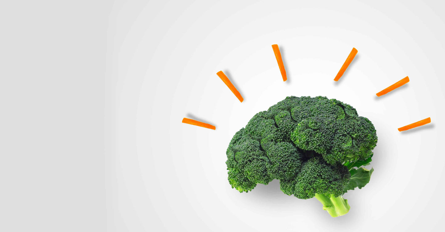 Broccoli shaped like a brain