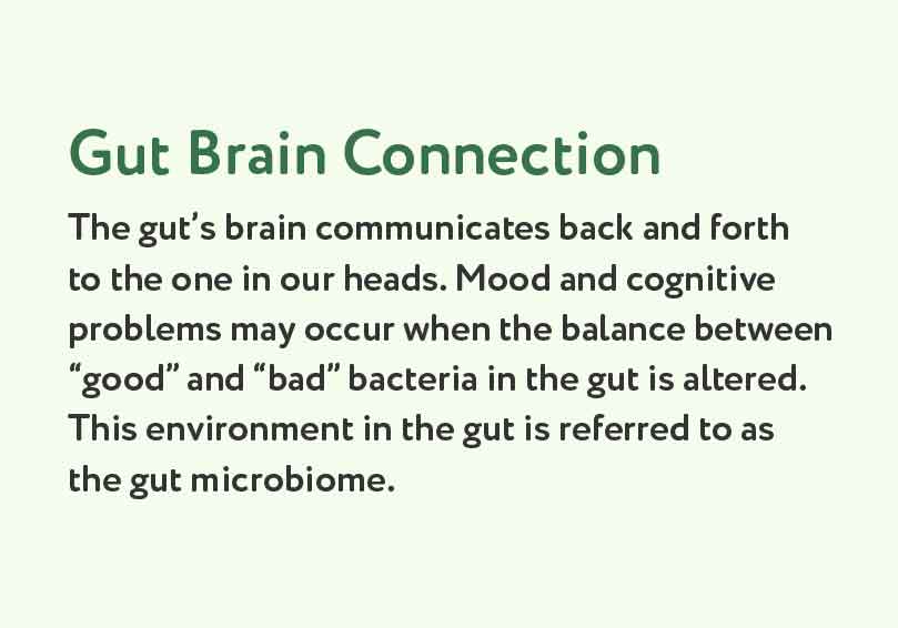 The gut's brain communicates back and forth to the one in our heads