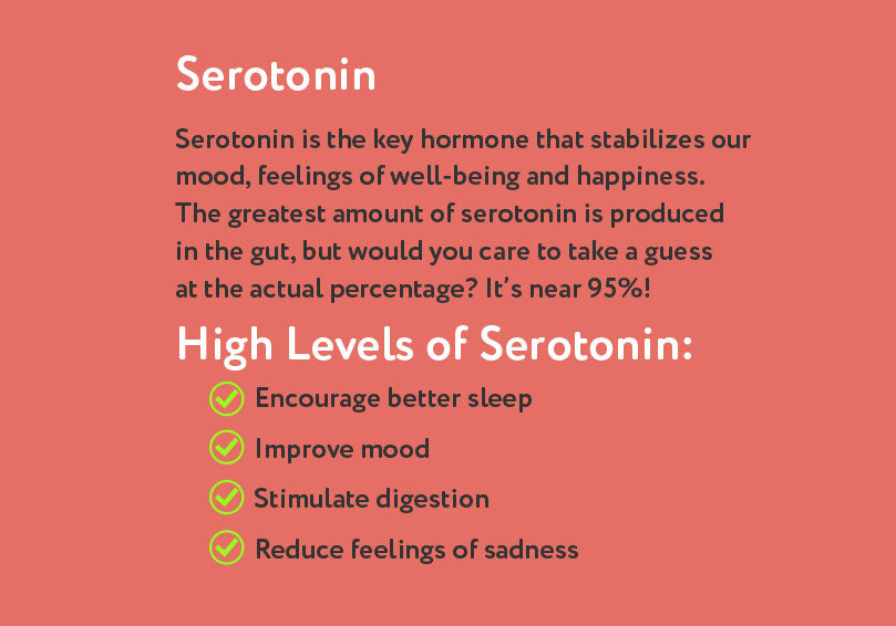 Serotonin is the key hormone that stabilizes our mood, feelings of well being and happiness